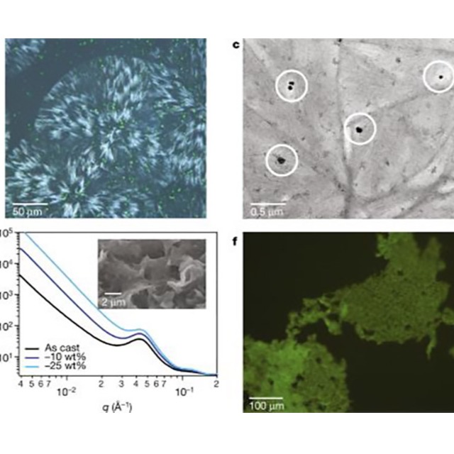 什么是可堆肥生物降解塑料？